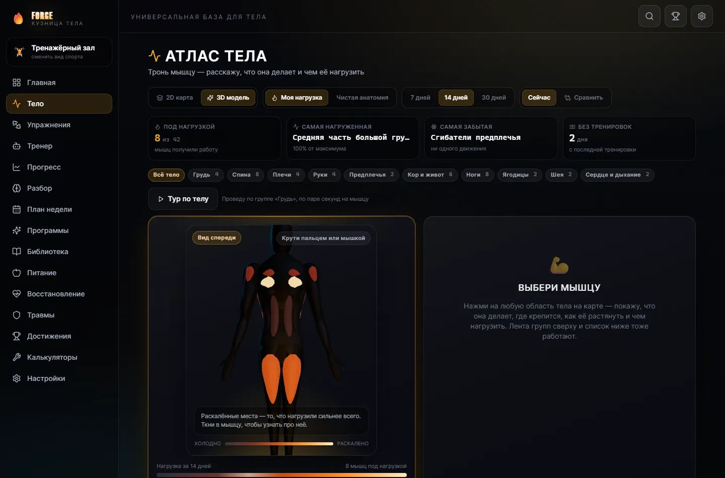 FORGE — an atlas of sport